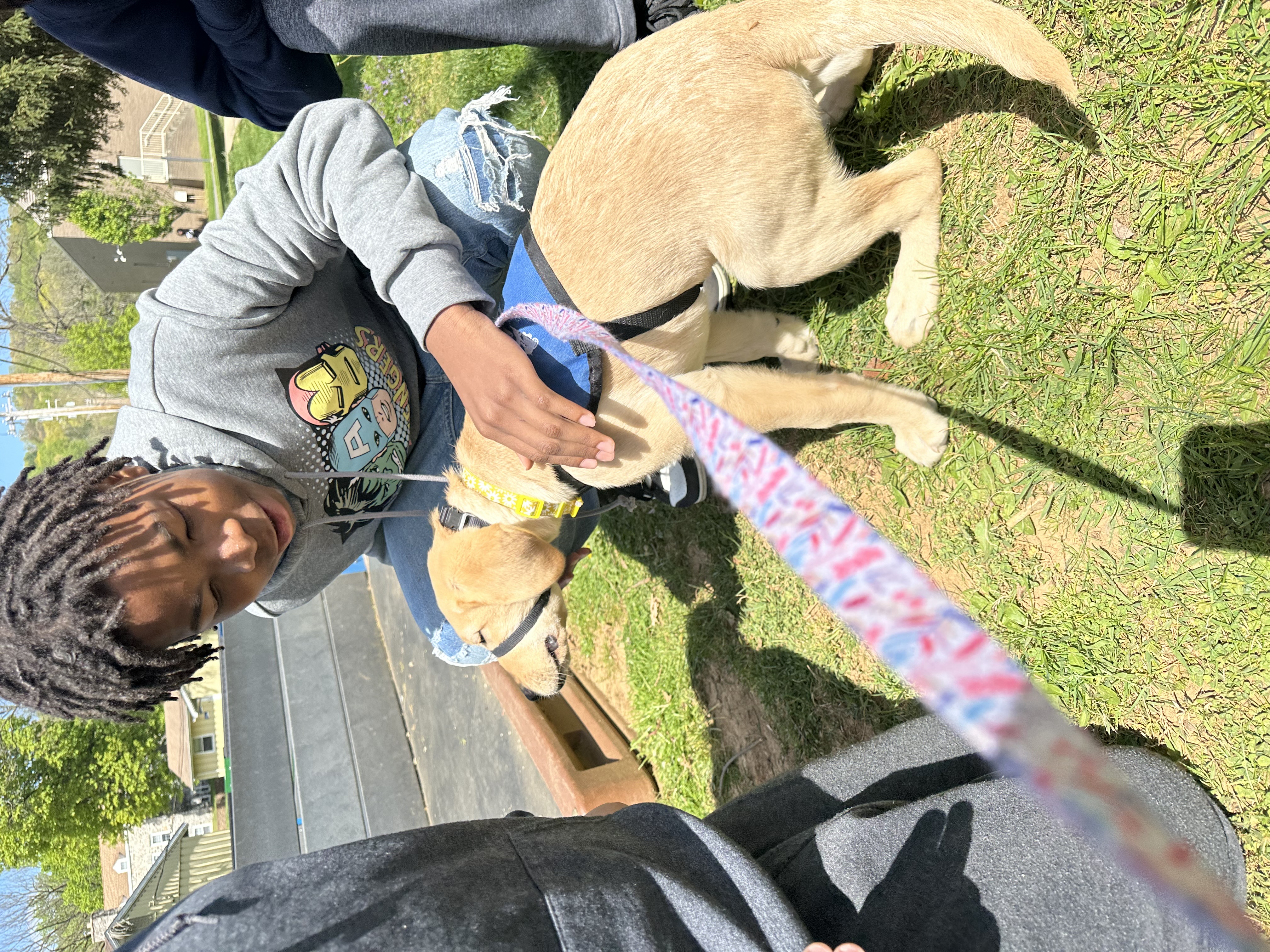 student petting honey